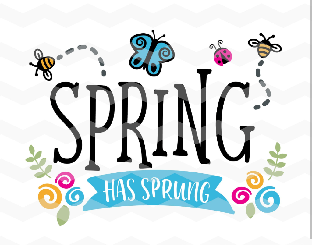 Spring Has Sprung 🦋